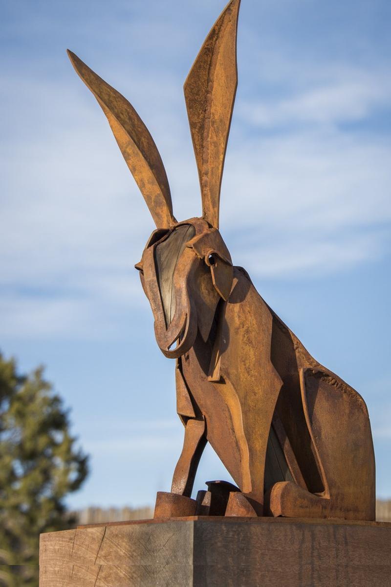 Hare Marquette